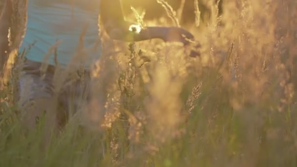 Piękna młoda kobieta spaceru na polu z wysokiej trawy na zewnątrz z przyrodą — Wideo stockowe