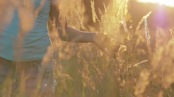 Молодая женщина, гуляющая по полю с высокой травой, наслаждаясь природой на открытом воздухе — стоковое видео