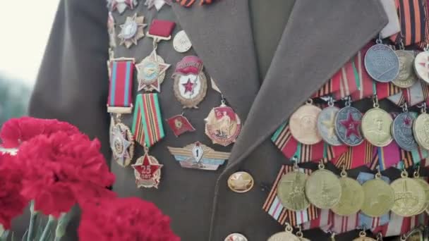 Veteraan van de grote patriottische oorlog en de Tweede Wereldoorlog in uniform met vele badges en bestellingen wordt geleverd met rode bloemen. Close-up. — Stockvideo