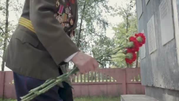 Un anciano veterano de pelo gris de la gran guerra patriótica y la Segunda Guerra Mundial en uniforme con muchas insignias y órdenes pone flores rojas al monumento — Vídeo de stock