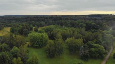 Yapraklı ve iğne yapraklı ağaçlar ile havadan görünümü sisli orman
