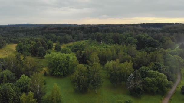 Yapraklı ve iğne yapraklı ağaçlar ile havadan görünümü sisli orman — Stok video