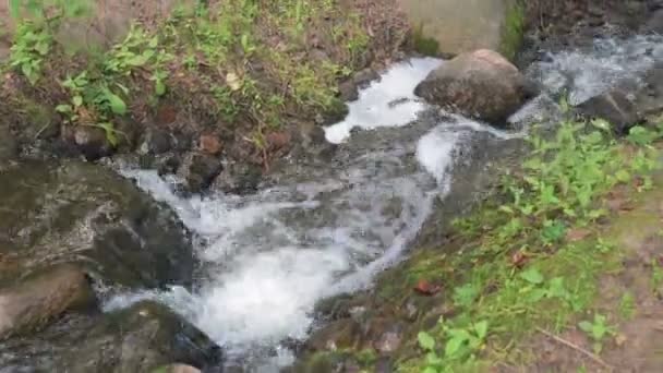 Un ruisseau forestier coule entre les roches de mousse 