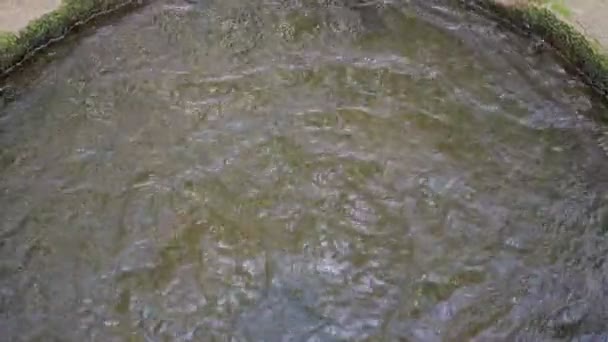 Естественный подземный источник воды — стоковое видео