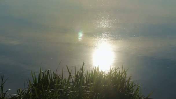 Lever et coucher du soleil sur la rivière brumeuse avec un débit d'eau rapide — Video