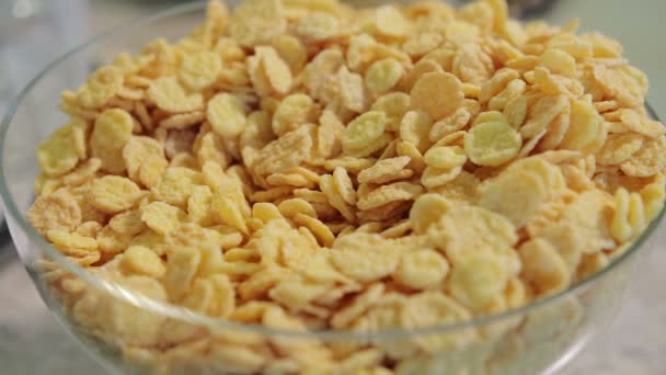Lots of cornflakes are falling into the plate — Stock Video