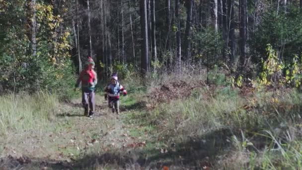 おかしい おかしい人 弟と妹は暖かい秋の森を走る 同じ帽子とスカーフの子供たち — ストック動画