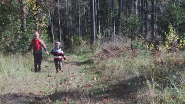 Щасливі діти, брат і сестра пробігають через ліс восени — стокове відео