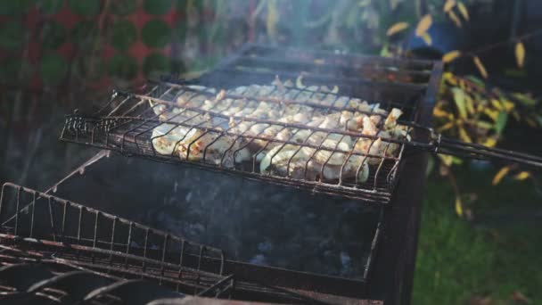 Pollo y cebolla cocidos en la parrilla de barbacoa — Vídeos de Stock