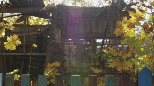 Vista panoramica della vecchia, distrutta, casa in legno nella foresta decidua d'autunno — Video Stock