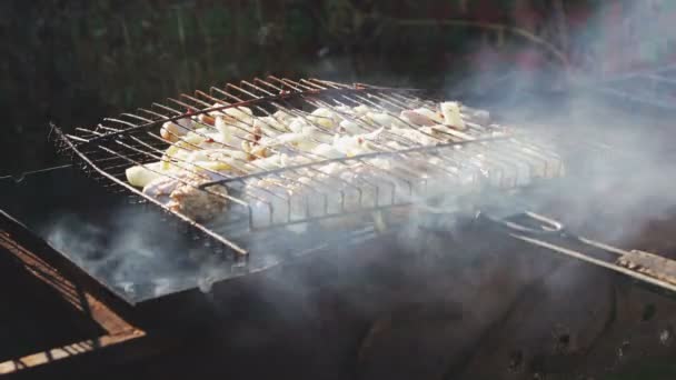 Pollo y cebolla cocidos en la parrilla de barbacoa — Vídeos de Stock