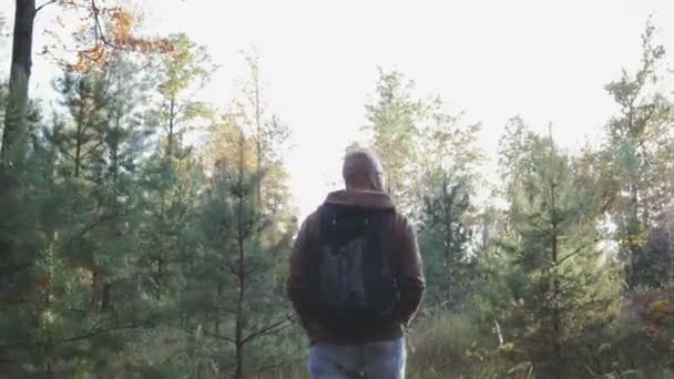 Young man walking in the autumn forest, hiking in the forest — Stock Video