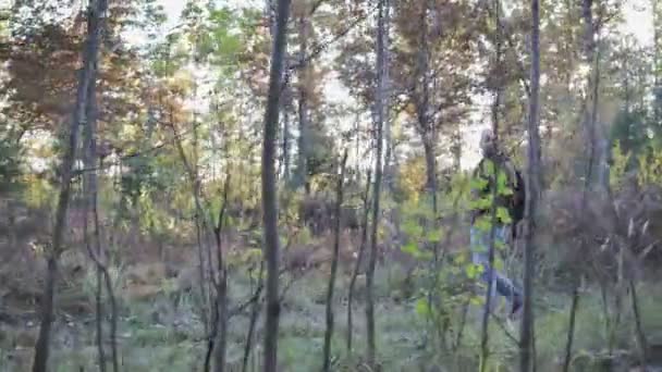 Młody facet, człowiek idzie przez las i cieszy się jesień krajobraz — Wideo stockowe