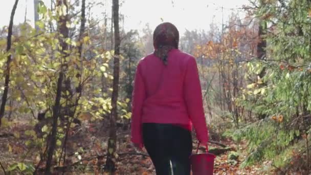 Een jong meisje loopt door het bos en verzamelt paddestoelen — Stockvideo