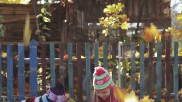 Rural, funny kids, brother and sister throw up autumn leaves — Stock Video