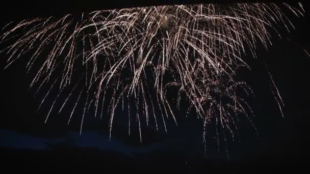 Красочные фейерверки против ночного неба крупным планом — стоковое видео