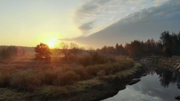 Lever de soleil sur la forêt et la rivière, vue aérienne 