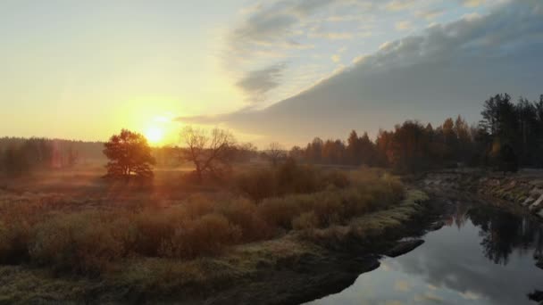 Zonsopgang boven het bos en de rivier, de luchtfoto — Stockvideo