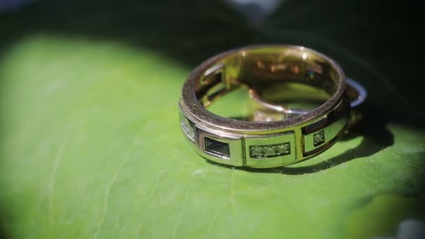 Wedding rings lie on a green leaf sheet, close-up — Stock Video