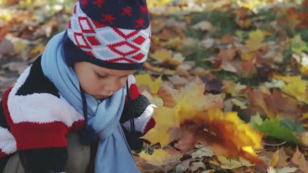 一个小孩在公园玩秋天 他收集在花束中的叶子 并相信他们的 — 图库视频影像