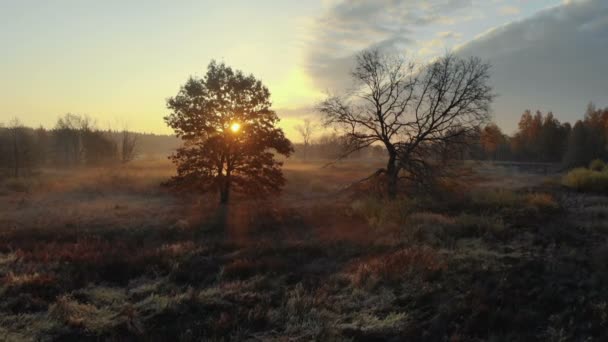 Lever de soleil sur la forêt et la rivière, vue aérienne — Video