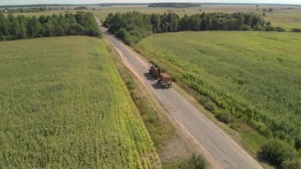 Logging truck drives along a narrow country road from the deforestation site to the processing plant — Stock Footage Logging truck drives along a narrow country road from the deforestation site to the processing plant Royalty Free Stock Video