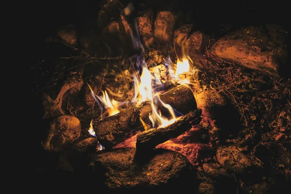 Feu Camp Nuit Dans Forêt Voyage — Photo