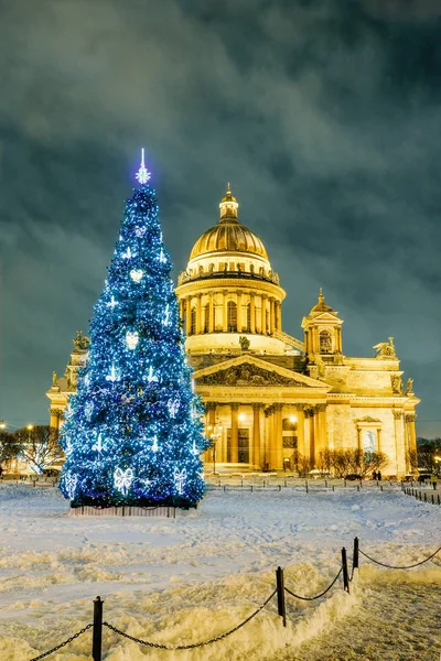 Şehrin Saint Petersburg ana meydanında Noel ağacı