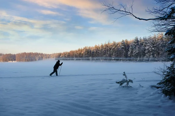 Άνθρωπος Που Κάνει Σκι Στο Χειμερινό Δάσος Αθλητισμού — Φωτογραφία Αρχείου