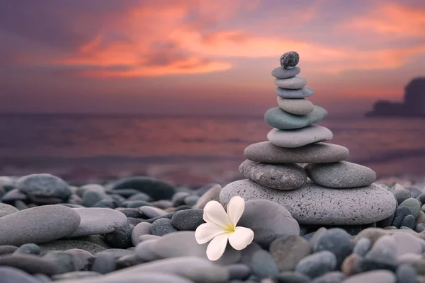 Frangipani Flower Stack Zen Stones Sunset Background — Stock Photo, Image