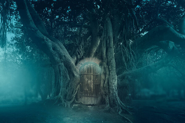 Fantasy scary forest with door in tree