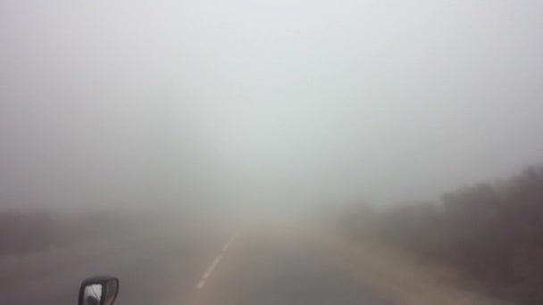 Driving Car Foggy Road Daytime — ストック動画