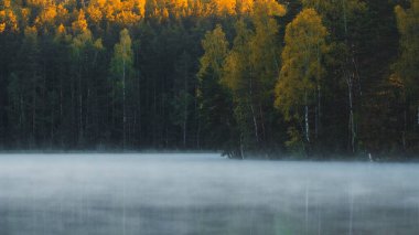 Sis, sonbahar ormanındaki gölün üzerinde sabah erken saatlerde gün doğumunda yüzer.