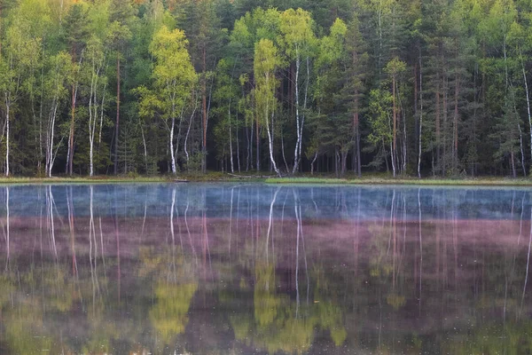 아침의 아름다운 풍경입니다 나무들로 둘러싸인 호수에 — 스톡 사진