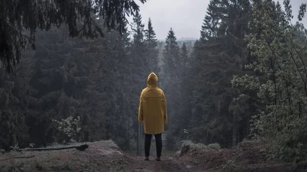 雨の中の丘の上の暗い森の中の黄色いレインコートの人 — ストック写真