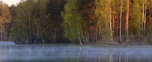 fog on the lake in the early morning at dawn in the forest. Panorama of the shore with trees, Summer landscape