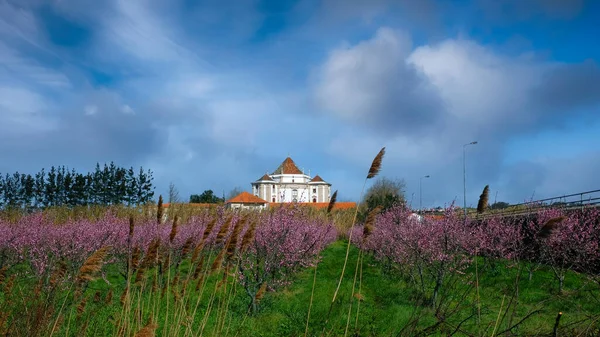 The sanctuary of the Lord Jesus made of stone near Obidos by the field with flowering almonds. Spring in Portugal