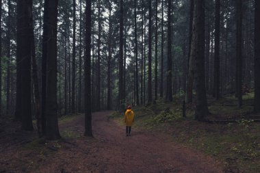 Parlak sarı yağmurluklu bir kız sisli, karanlık bir ormanda yürüyor..