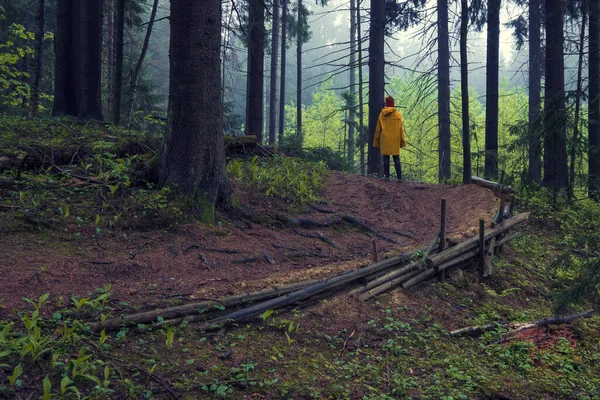 Mulher Uma Capa Chuva Amarela Caminho Floresta Uma Floresta Escura — Fotografia de Stock