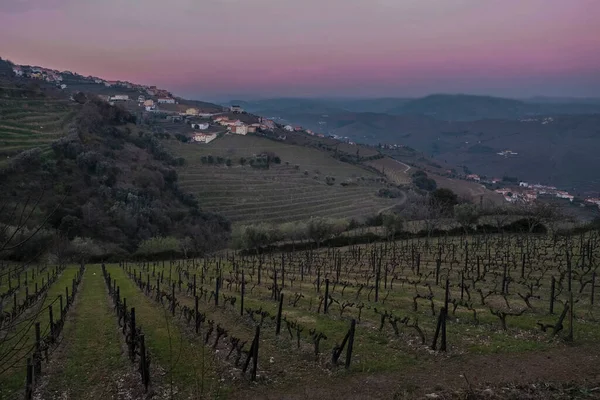 Bahar Başında Gün Batımında Regua Şehrinin Yakınlarındaki Douro Vadisi Nehrinin — Stok fotoğraf