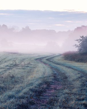 Sisli tarlalar ve ıslak otlar arasındaki toprak yolda sonbaharın başlarında şafak vakti çiğ taneleri kırda