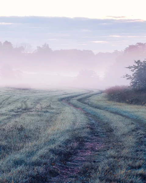 Sisli tarlalar ve ıslak otlar arasındaki toprak yolda sonbaharın başlarında şafak vakti çiğ taneleri kırda