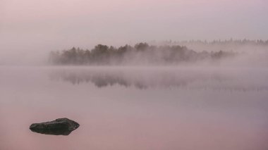 Sabaha karşı sisli bir sabah ve göl kenarında bir orman. Minimalizm tarzında sonbahar manzarası