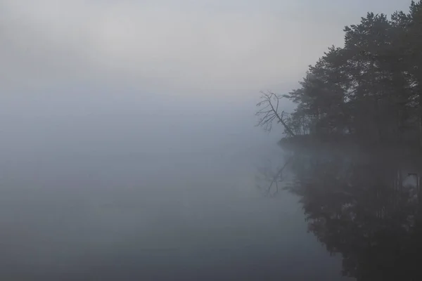 Tronco Desnudo Árbol Junto Lago Niebla Amanecer Oscuro Paisaje Sombrío —  Fotos de Stock