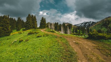 Dağlardaki tepe boyunca uzanan toprak yol. Bulutlu bir gökyüzünün altında, ormanın içinde.