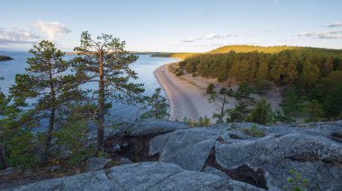 Karelia 'da Ladoga Gölü' ndeki Koyonsaari Adası yaz sabahı. Kuzey manzarası, orman plajı ve su. Ulusal Park Ladoga Skerries
