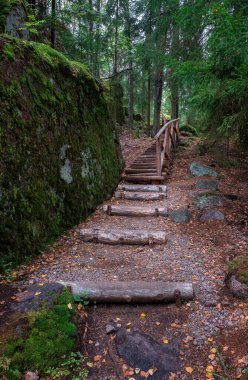 Kuzey ormanındaki tahta köprü ve merdivenler kayalar ve ocaklar arasında, bir yaz gününde. Vyborg 'daki Park Monrepo Eko Yolu