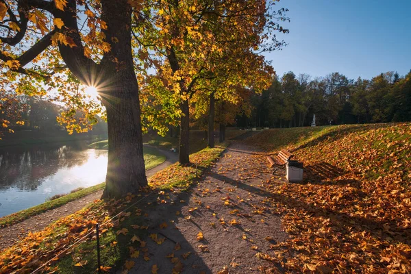 Banco Parque Cidade Gatchina Região Leningrado Paisagem Manhã Outono Dourado — Fotografia de Stock