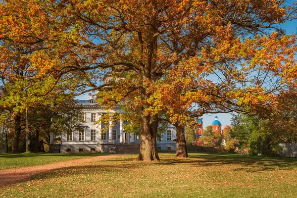 Altın sonbahar boyunca Gatchina şehri ve Leningrad bölgesi yakınlarındaki Park ve Manor Rozhdestveno