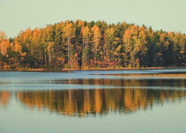 Sonbahar manzarası, bir tepenin üzerindeki orman Karelia Rusya 'daki bir gölün arasında bir ada.